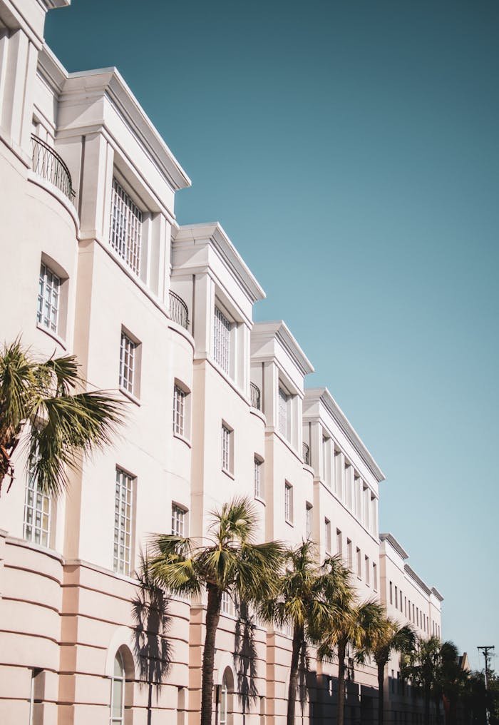 Home Bright modern building facade with palm trees against a clear blue sky.
